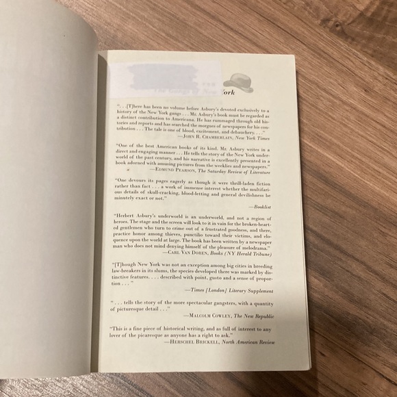 The Gangs of New York paperback book by Herbert Asbury - Picture 4 of 6